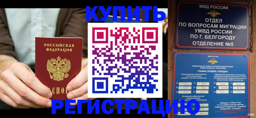 прописка 2025 в Волжске